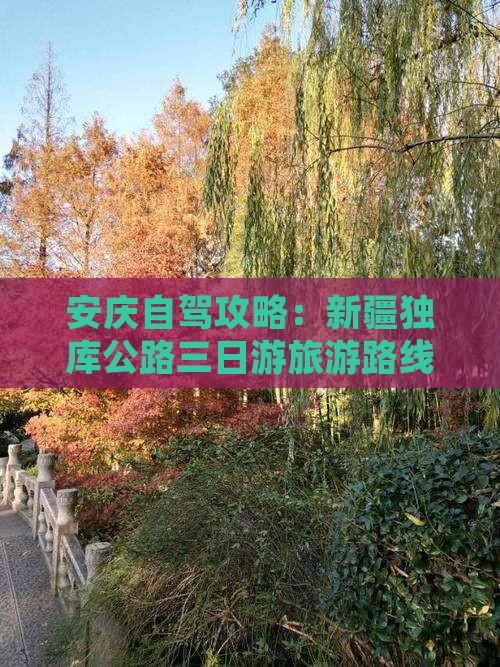 安庆到新疆独库公路三日游