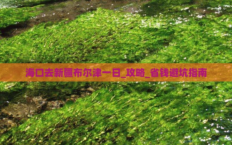 海口去新疆布尔津一日