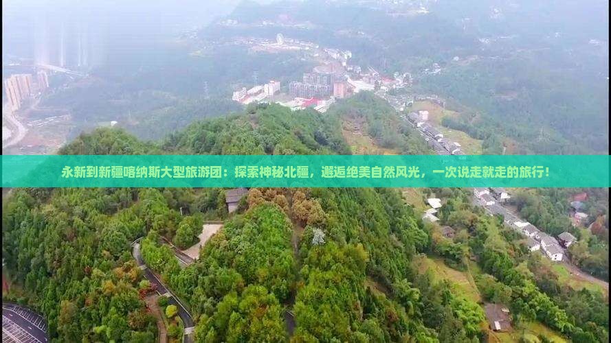 永新到新疆喀纳斯大型旅游团
