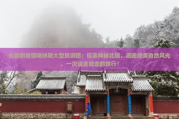 永新到新疆喀纳斯大型旅游团