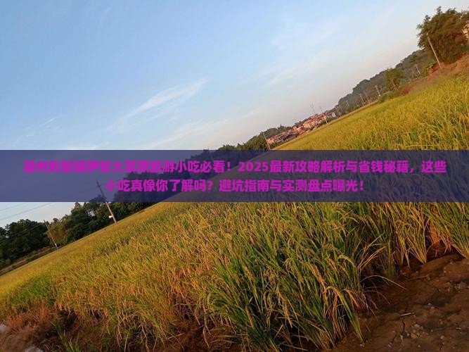 潮州到新疆伊犁大草原旅游小吃