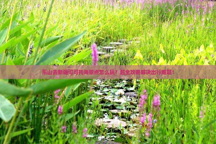乐山去新疆可可托海景点