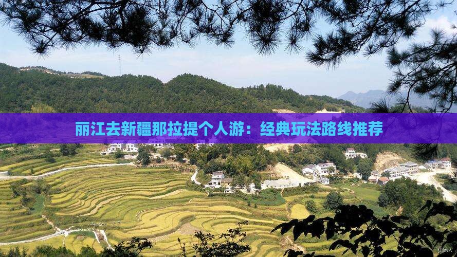 丽江去新疆那拉提个人游：经典玩法路线推荐