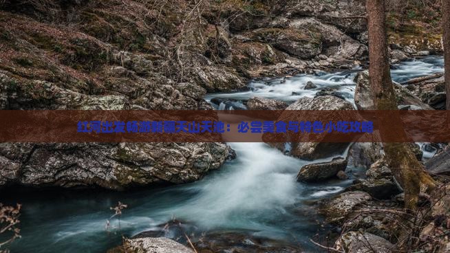 红河出发畅游新疆天山天池：必尝美食与特色小吃攻略