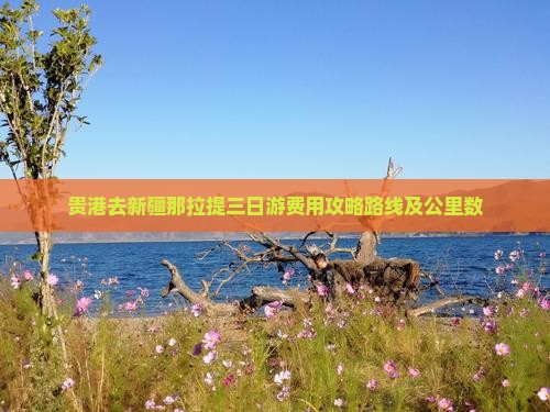 贵港去新疆那拉提三日游费用攻略路线及公里数