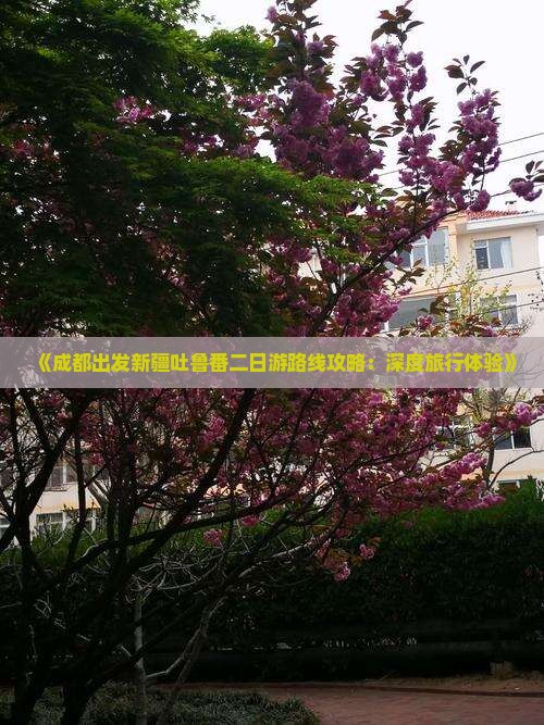 《成都出发新疆吐鲁番二日游路线攻略：深度旅行体验》