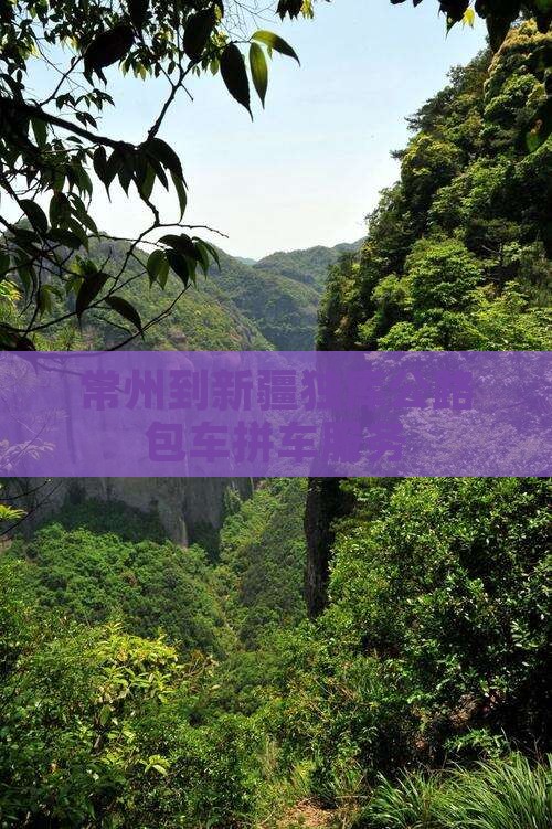 常州到新疆独库公路包车拼车服务