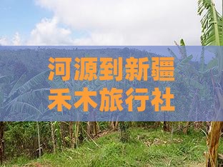 河源到新疆禾木旅行社路线及距离