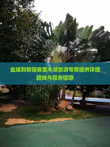 盐城到新疆赛里木湖旅游专犀提供详细路线与服务信息