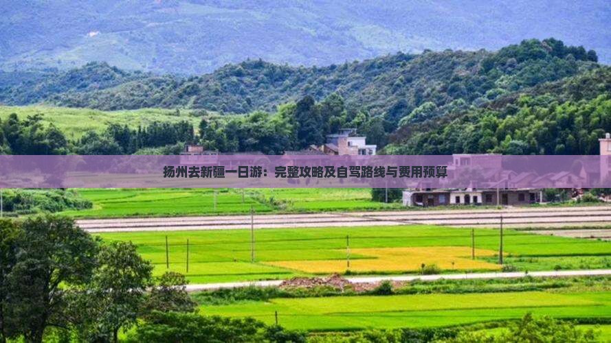 扬州去新疆一日游：完整攻略及自驾路线与费用预算
