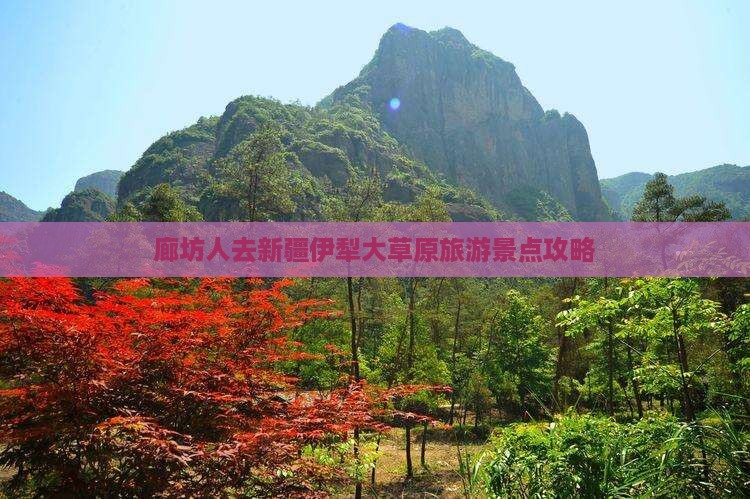 廊坊人去新疆伊犁大草原旅游景点攻略