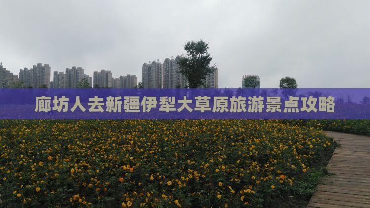 廊坊人去新疆伊犁大草原旅游景点攻略