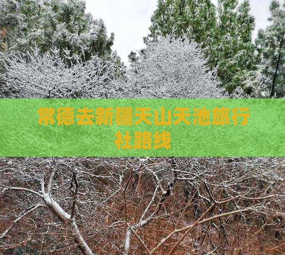 常德去新疆天山天池旅行社路线