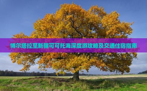 博尔塔拉至新疆可可托海深度游攻略及交通住宿指南
