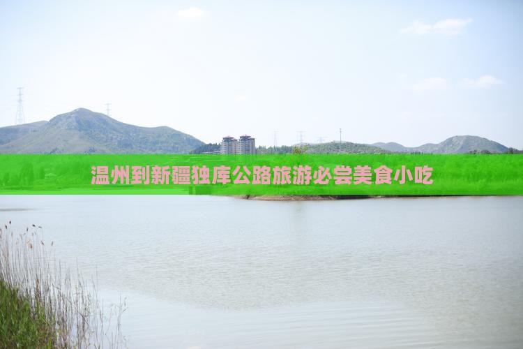 温州到新疆独库公路旅游必尝美食小吃