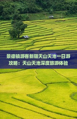 景德镇游客新疆天山天池一日游攻略：天山天池深度旅游体验