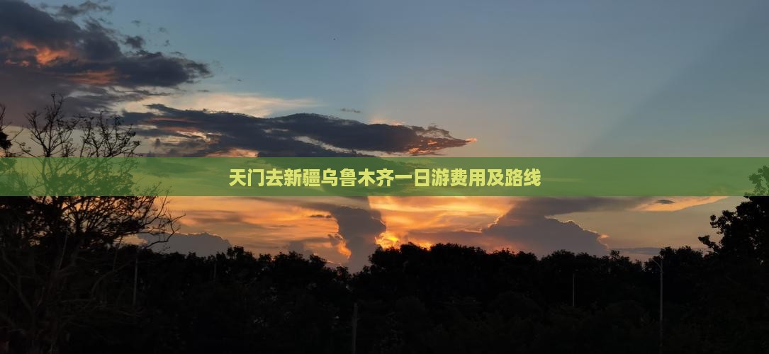 天门去新疆乌鲁木齐一日游费用及路线