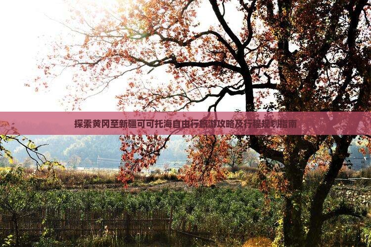探索黄冈至新疆可可托海自由行旅游攻略及行程规划指南