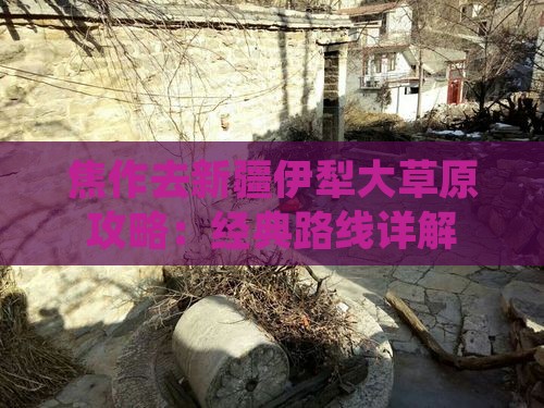 焦作去新疆伊犁大草原攻略：经典路线详解