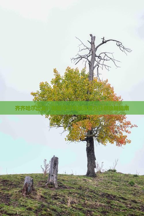 齐齐哈尔出发：新疆可可托海深度六日游攻略指南