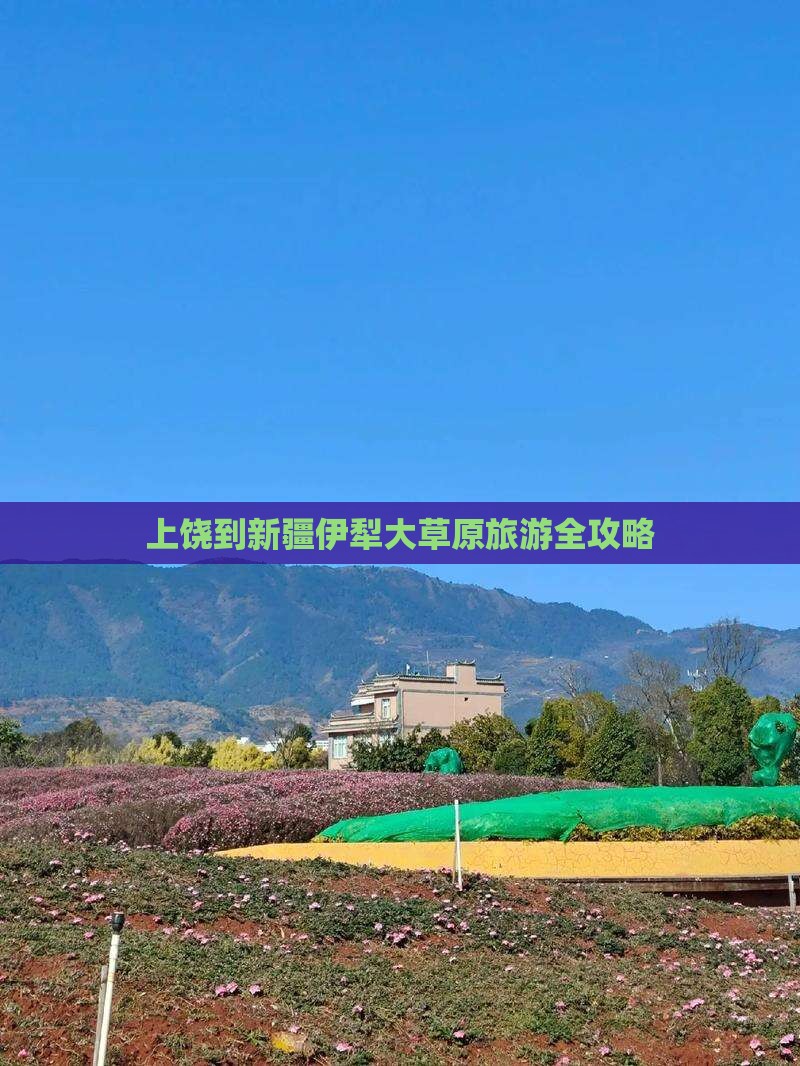 上饶到新疆伊犁大草原旅游全攻略