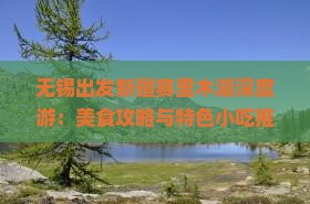 无锡出发新疆赛里木湖深度游：美食攻略与特色小吃推荐