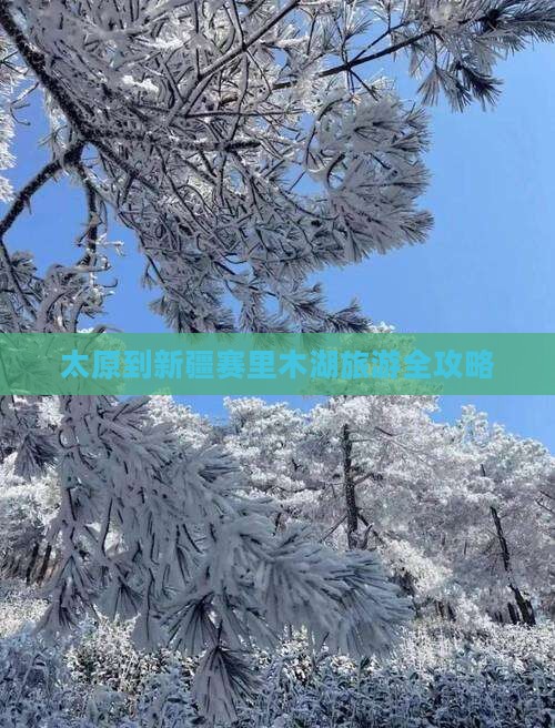 太原到新疆赛里木湖旅游全攻略