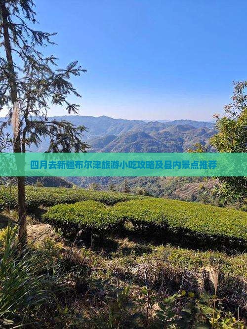 四月去新疆布尔津旅游小吃攻略及县内景点推荐