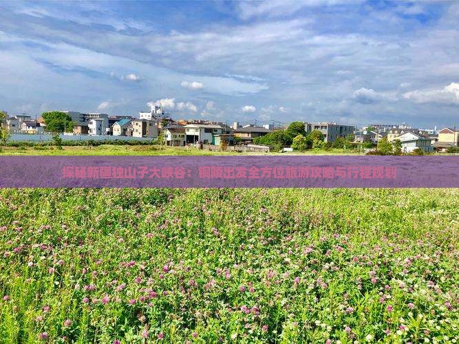 探秘新疆独山子大峡谷：铜陵出发全方位旅游攻略与行程规划