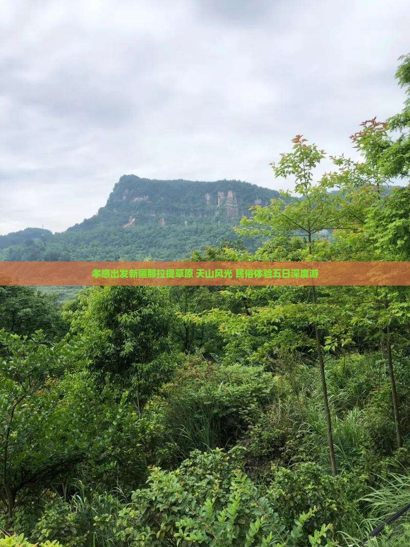 孝感出发新疆那拉提草原+天山风光+民俗体验五日深度游