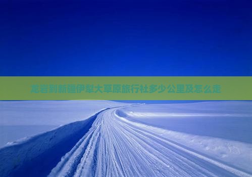 龙岩到新疆伊犁大草原旅行社多少公里及怎么走
