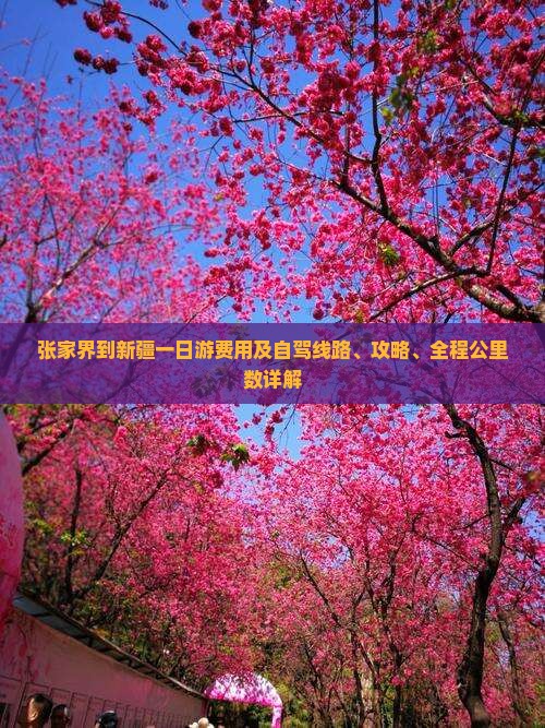 张家界到新疆一日游费用及自驾线路、攻略、全程公里数详解