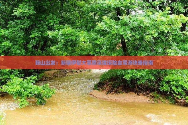 鞍山出发：新疆伊犁大草原深度探险自驾游攻略指南