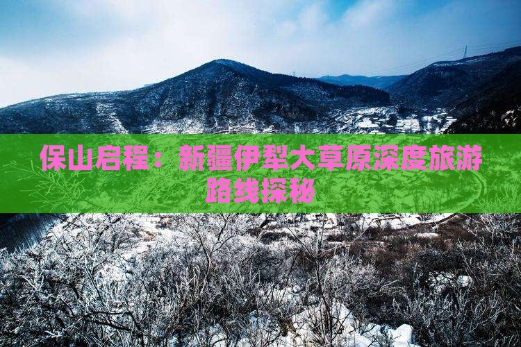 保山启程：新疆伊犁大草原深度旅游路线探秘