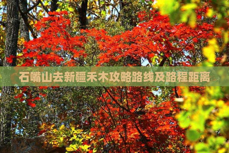 石嘴山去新疆禾木攻略路线及路程距离 石嘴山去新疆禾木攻略路线及路程距离