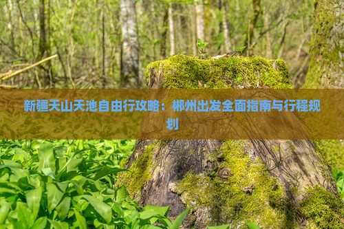 新疆天山天池自由行攻略：郴州出发全面指南与行程规划