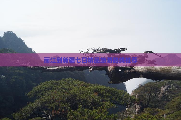 丽江到新疆七日精品旅游路线推荐