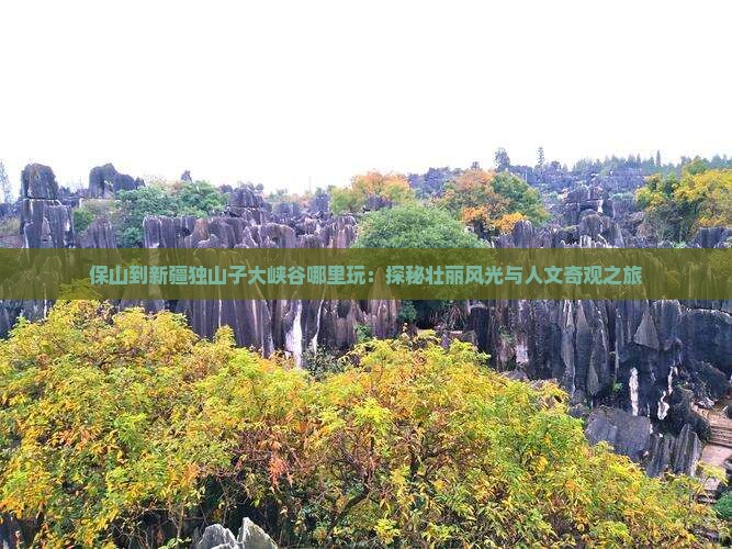 保山到新疆独山子大峡谷哪里玩：探秘壮丽风光与人文奇观之旅