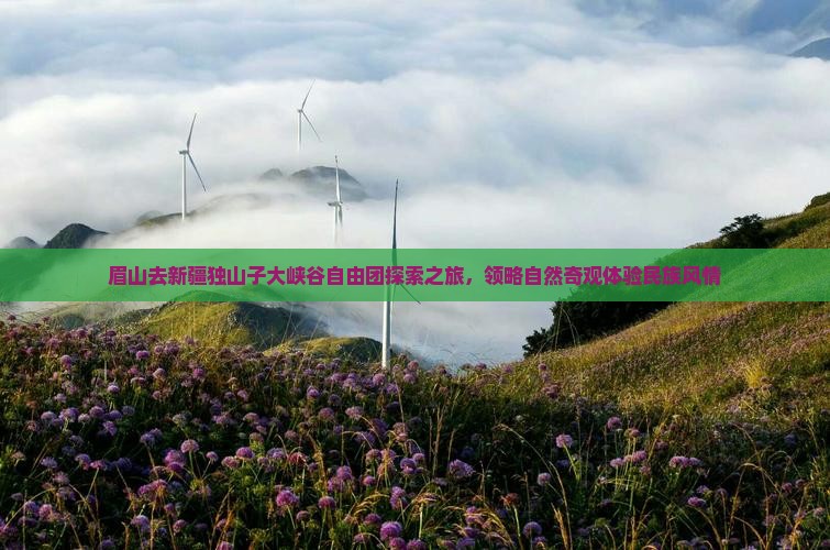 眉山去新疆独山子大峡谷自由团探索之旅，领略自然奇观体验民族风情