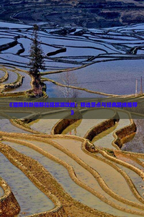 《醴陵到新疆那拉提旅游攻略：精选景点与经典路线推荐》