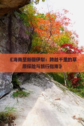 《海南至新疆伊犁：跨越千里的草原探险与旅行指南》