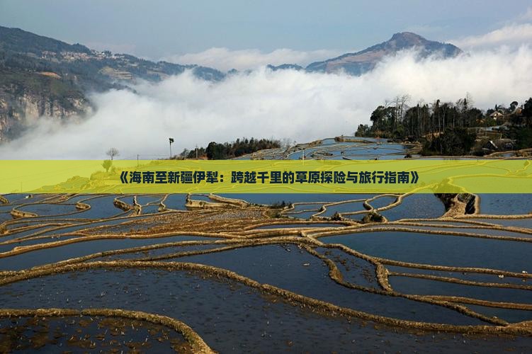 《海南至新疆伊犁：跨越千里的草原探险与旅行指南》