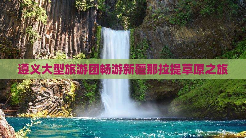遵义大型旅游团畅游新疆那拉提草原之旅