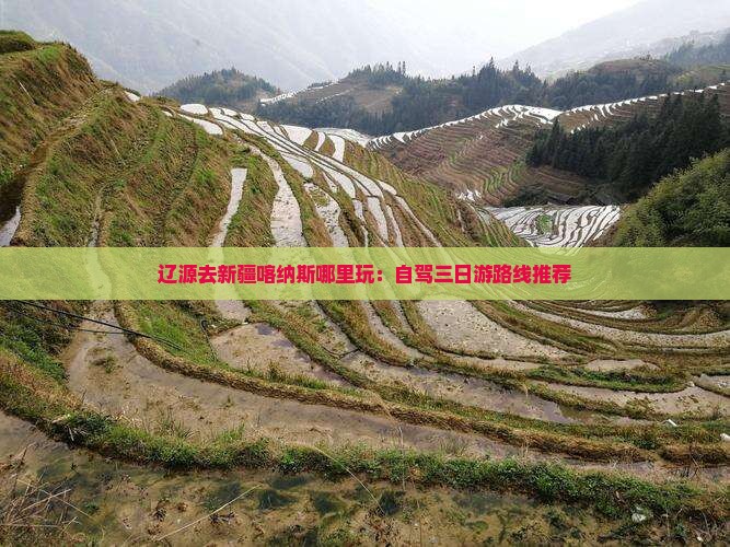 辽源去新疆喀纳斯哪里玩：自驾三日游路线推荐