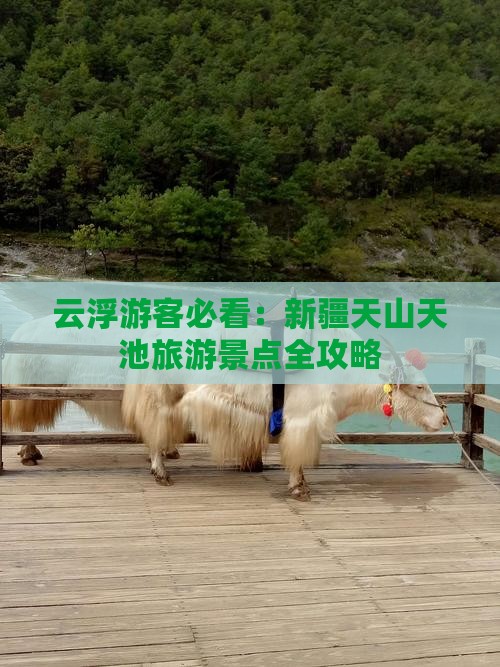 云浮游客必看：新疆天山天池旅游景点全攻略