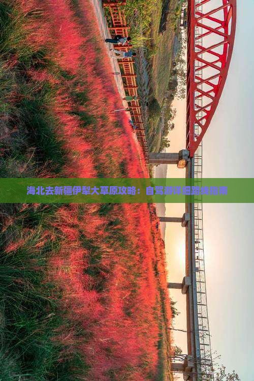 海北去新疆伊犁大草原攻略：自驾游详细路线指南