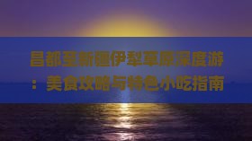 昌都至新疆伊犁草原深度游：美食攻略与特色小吃指南