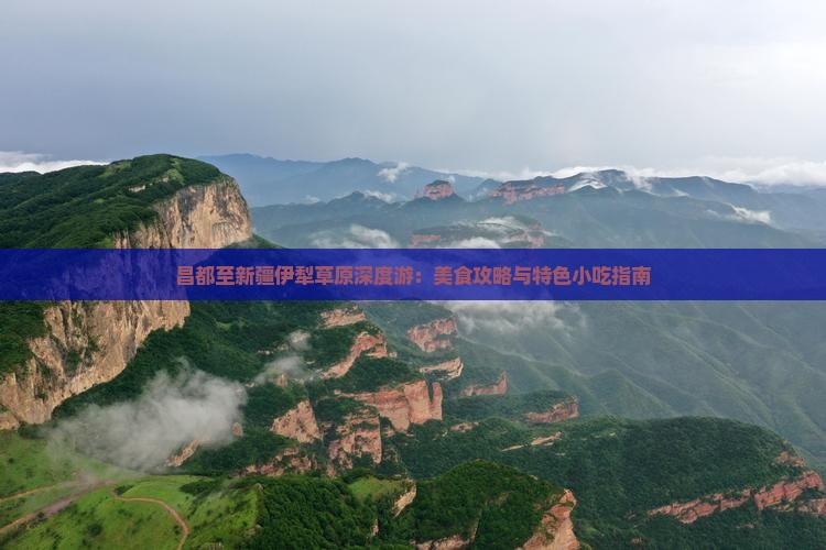 昌都至新疆伊犁草原深度游：美食攻略与特色小吃指南