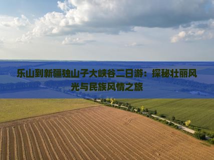 乐山到新疆独山子大峡谷二日游：探秘壮丽风光与民族风情之旅