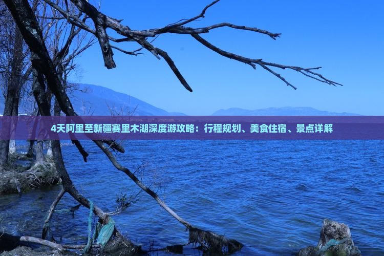 4天阿里至新疆赛里木湖深度游攻略：行程规划、美食住宿、景点详解